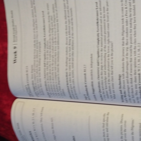 Teacher Resource second grade Studies Weekly 2 - Picture 9 of 16